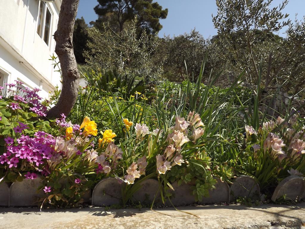 Guest House Vuljan Hvar Town Extérieur photo